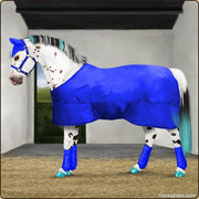 8. Winter Stable set