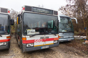 IMG-1564