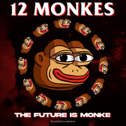 12 monkes