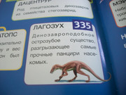 https://i.postimg.cc/hhD8Q2h3/100-8119.jpg