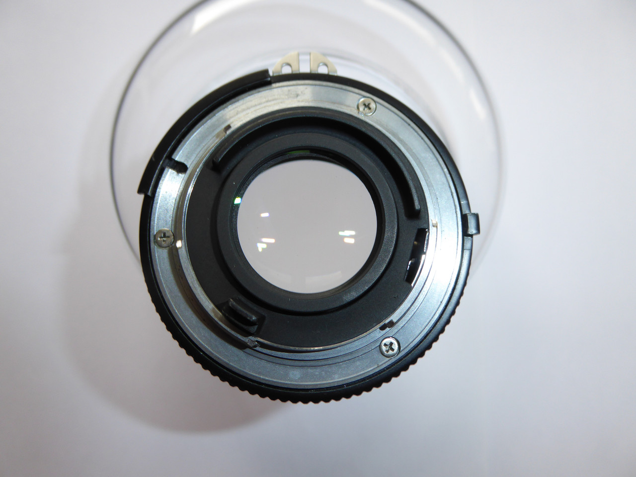 50mm Rear