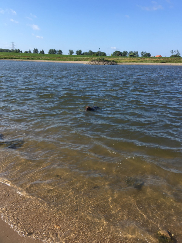 2023-16-07 Rijn Zwemmen Claire IMG_2474 (002)