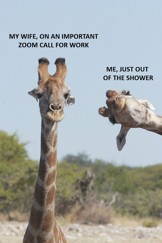 zoom-call-wife-shower.png
