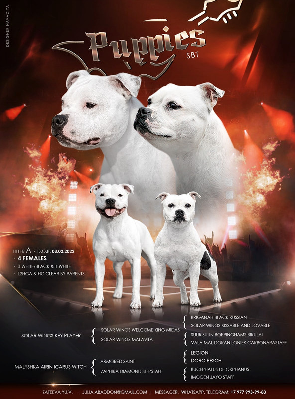 _MBfxJSefcHg8hQzdFGUvOcEDJhXR-c0ZCaEYm_6oQJXMYoZwsKZAp7exGFRQww0Hb_z4k4zkBGTW8ivgZH635z9