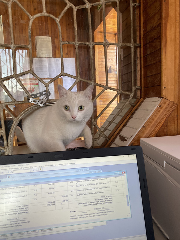 ECA94D3E-A996-46E8-9F14-DCC998B9649F