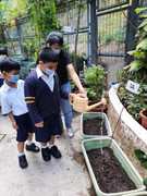 photo-littlefarmer2223-1A-017