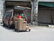 Egg-Delivery-Lady