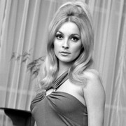 sharon-tate-md93
