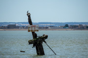 IMG-0240