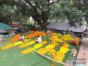 BBG&B13ByeBodhGaya - 14