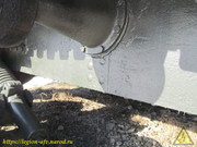 IMG-3447