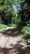S1470186