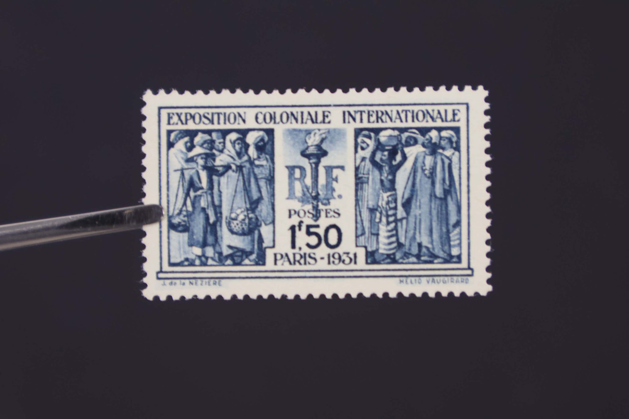 IMG 0494