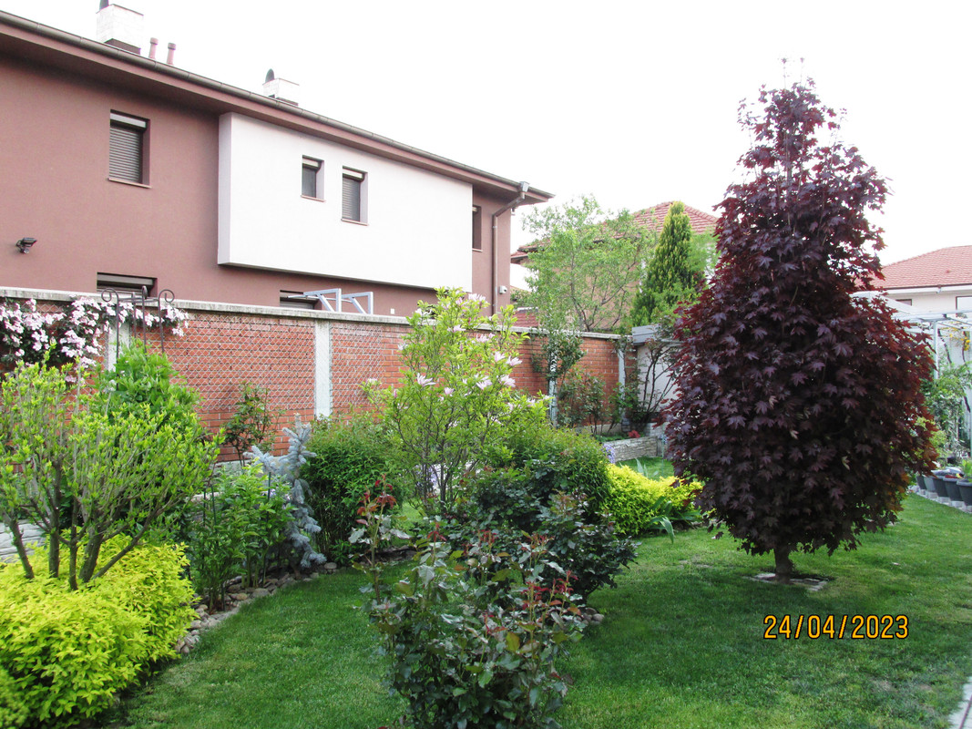 IMG 5578 — Postimages