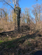 PXL 20260207 125901563