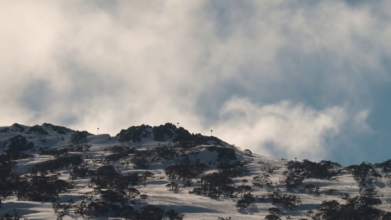 The Mole (US, S06E09) 3