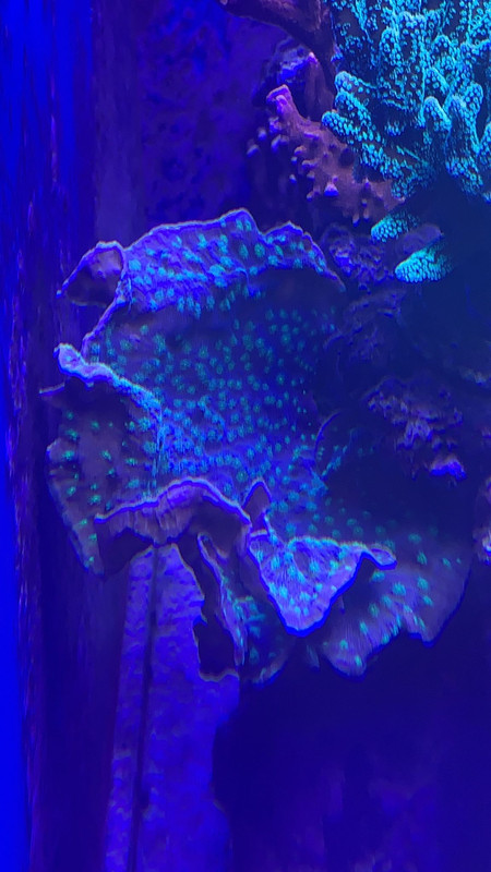 A5413C70-4565-422D-9E43-721777EB84E5