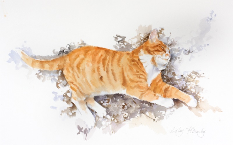 OTTO-SUNBATHING-1-Q7899-1