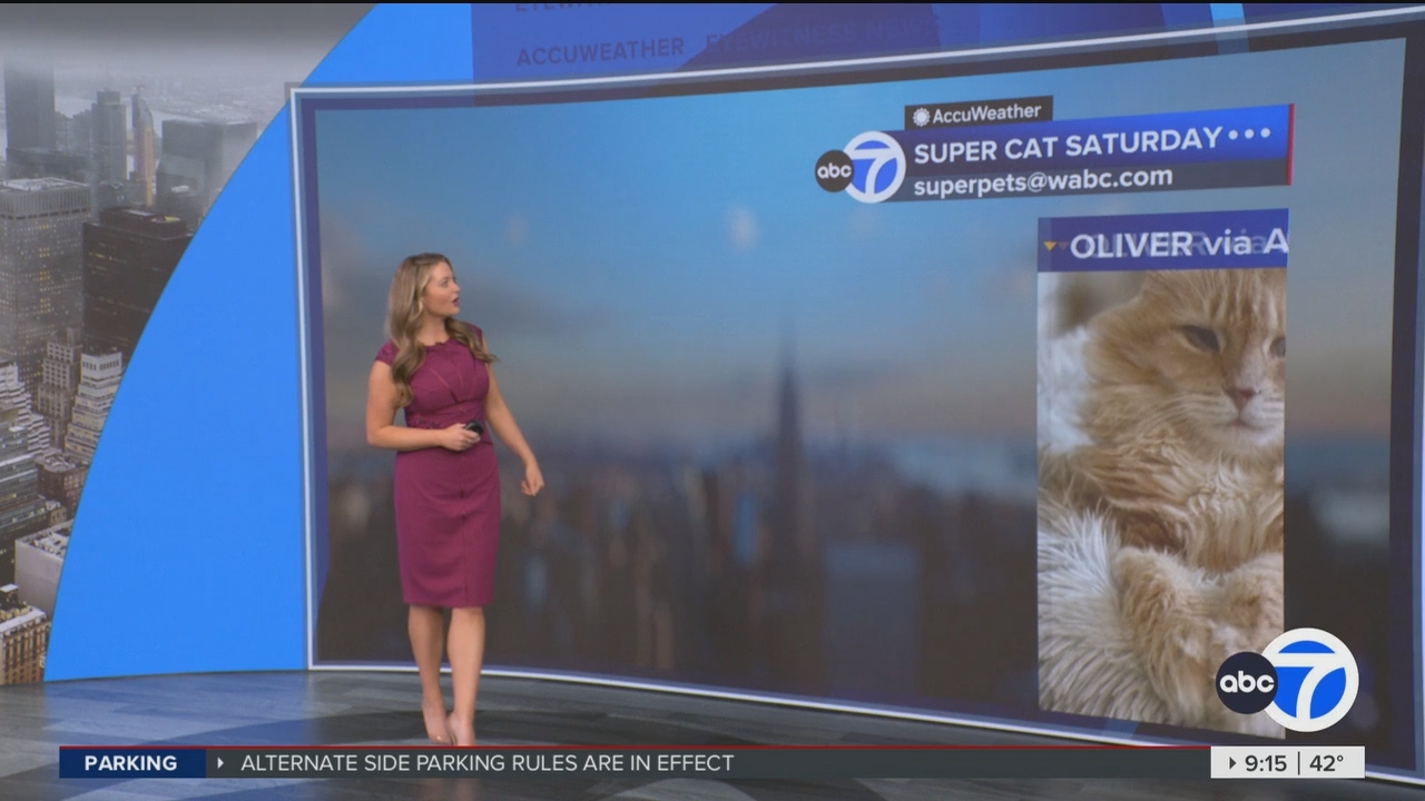 Eyewitness News This Morning_20250308_14001500.ts_snapshot_00.15.55.041