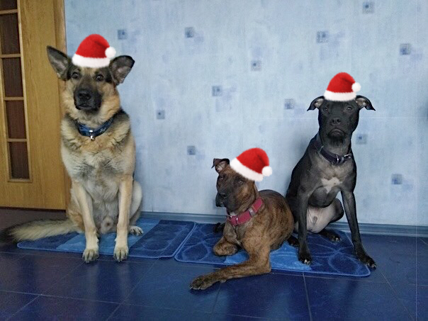 612AAEF2-8893-4B36-AF31-66F405175920