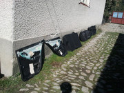 IMG-20131006-114220
