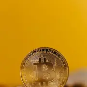 이태원지원금