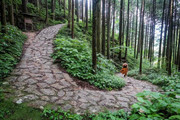 Nakasendo-Trail-Japan-1024x683.jpg