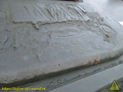 IMG-5540