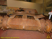 DSCN6557