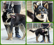 Be-Funky-collage-11.jpg&key=7bd8fc46839f