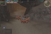 dv18.jpg