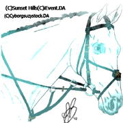 Wild Wind Stables - HEE AVI