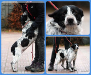 Be-Funky-collage-22.jpg&key=68dbcc18e1ae