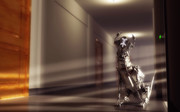 123-Zero-01-Welcome-Home