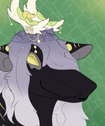 aceytango_headshot_two