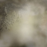 Christmaswishoffairydnpaper2