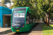 IMG-7446