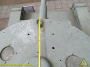 IMG-6546