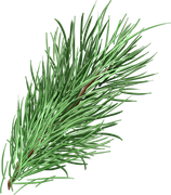 Daelmans-Designs-Dear-Santa-TS-PU-Element-083