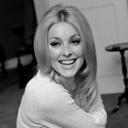 sharon-tate-md84