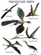 https://i.postimg.cc/hhvZ36tY/set-prehistoric-birds-d-render-isolated-white-background-198738335.webp