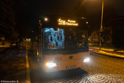 IMG-7203