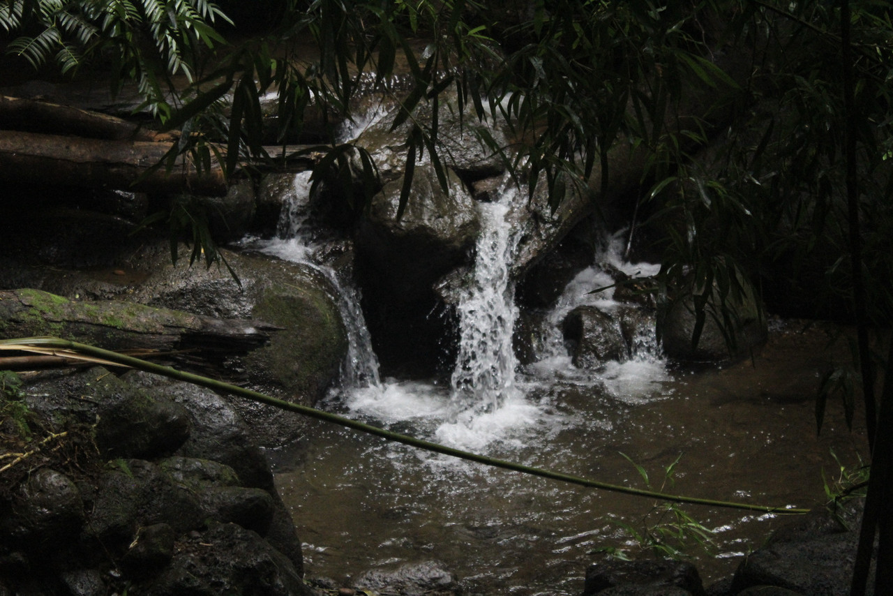 petite chute
