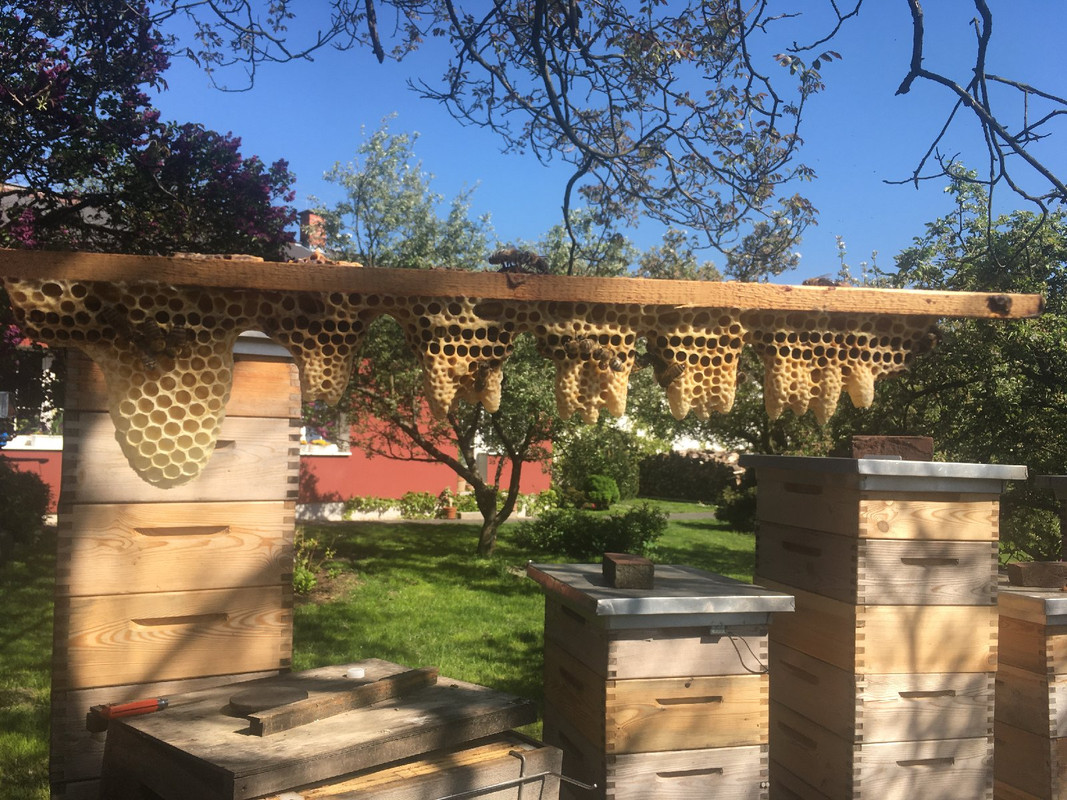 93105FCD-580C-4A54-809E-42D42D940F7B