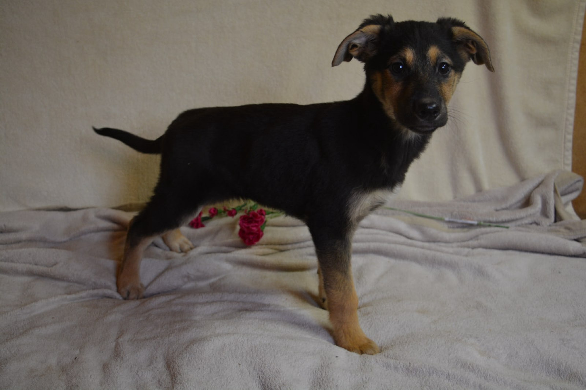 21-51-54-3ysQq8Cswjg