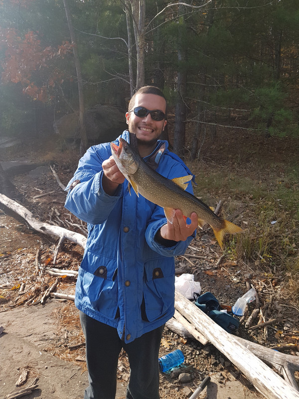 rondoutlaker