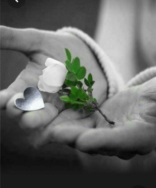 Screenshot_20230427_231657_Pinterest