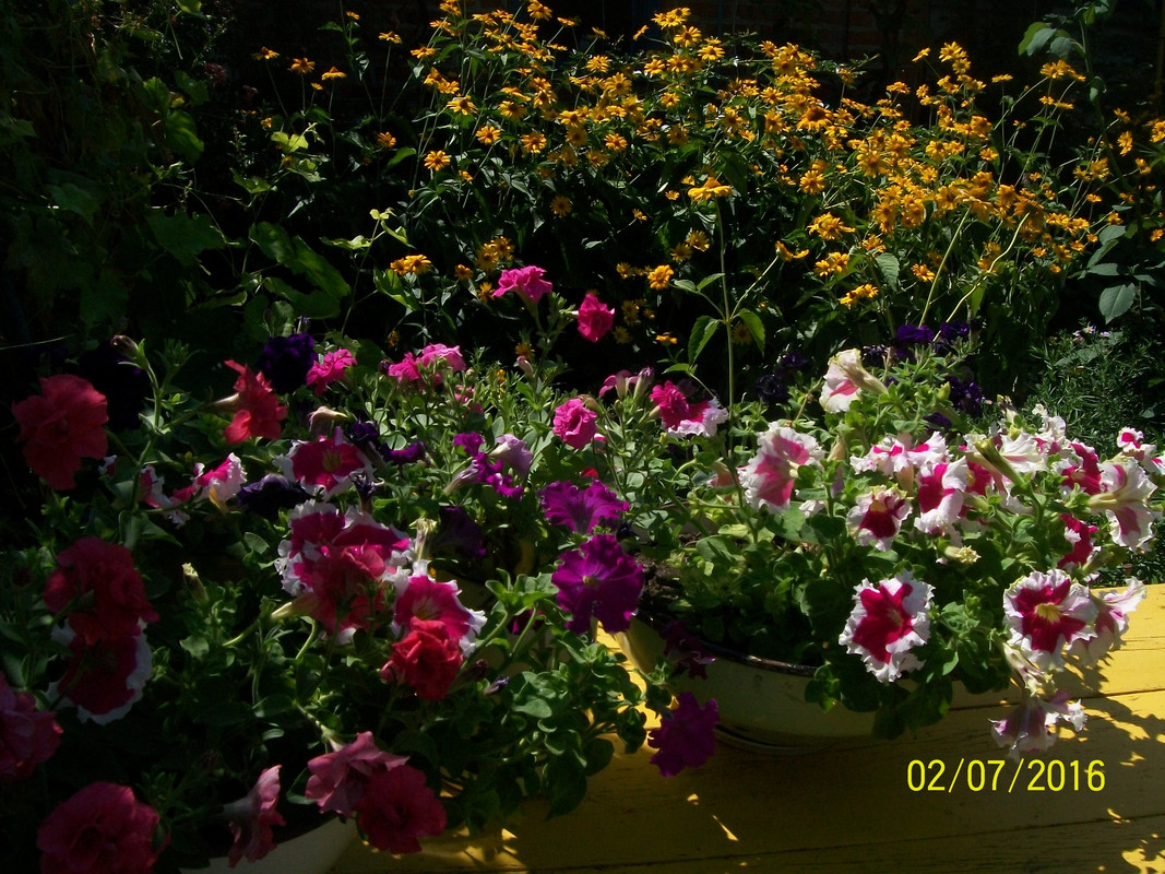 033