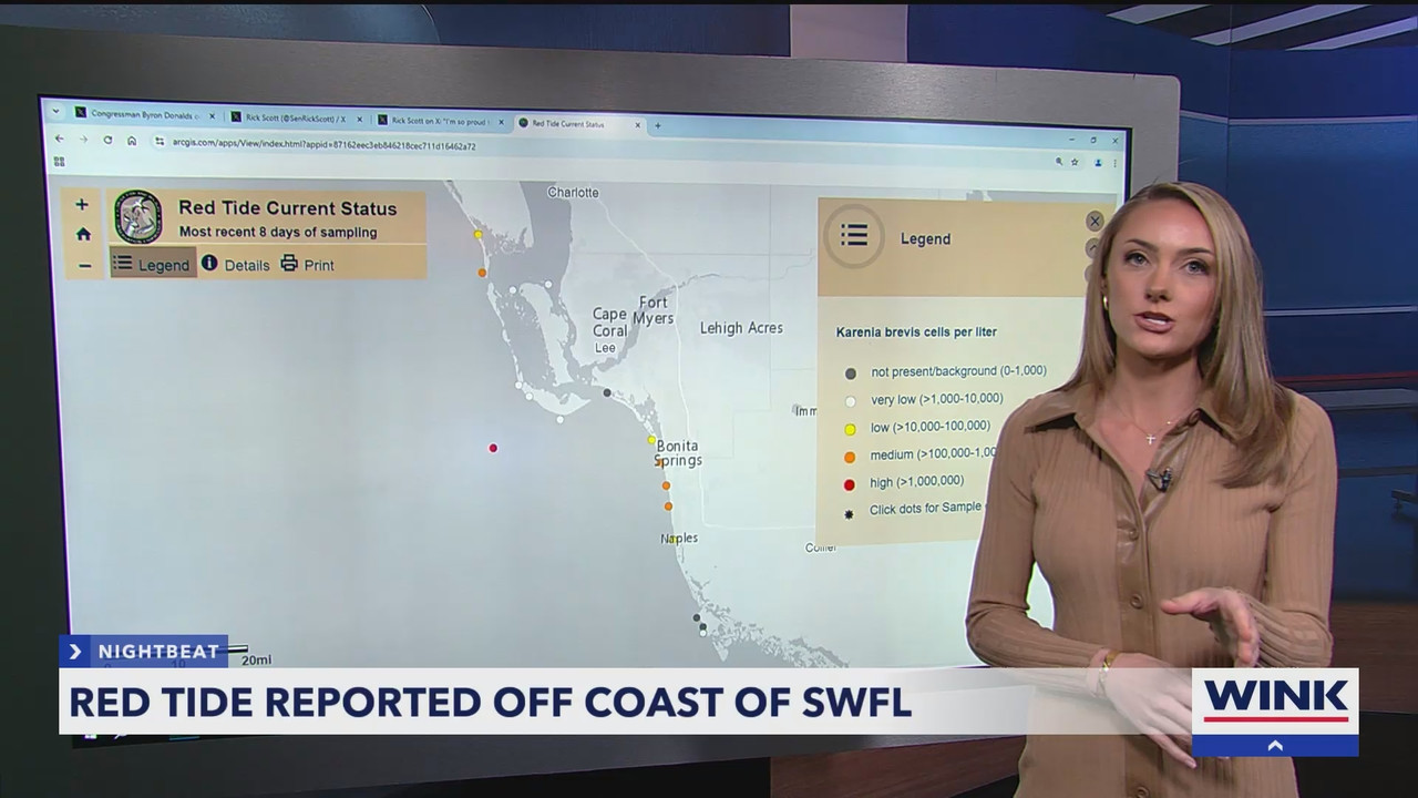 WINK News at 11_20250104_04000435.ts_snapshot_17.51.065