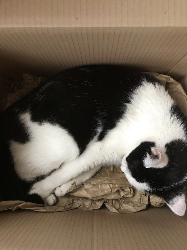 39356669-55B7-4268-9205-BDEAD278BAB6